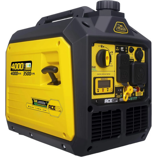4000w dual fuel inverter - dual,
