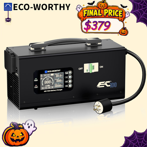 Eco worthy 48v 100a charger - 48v,